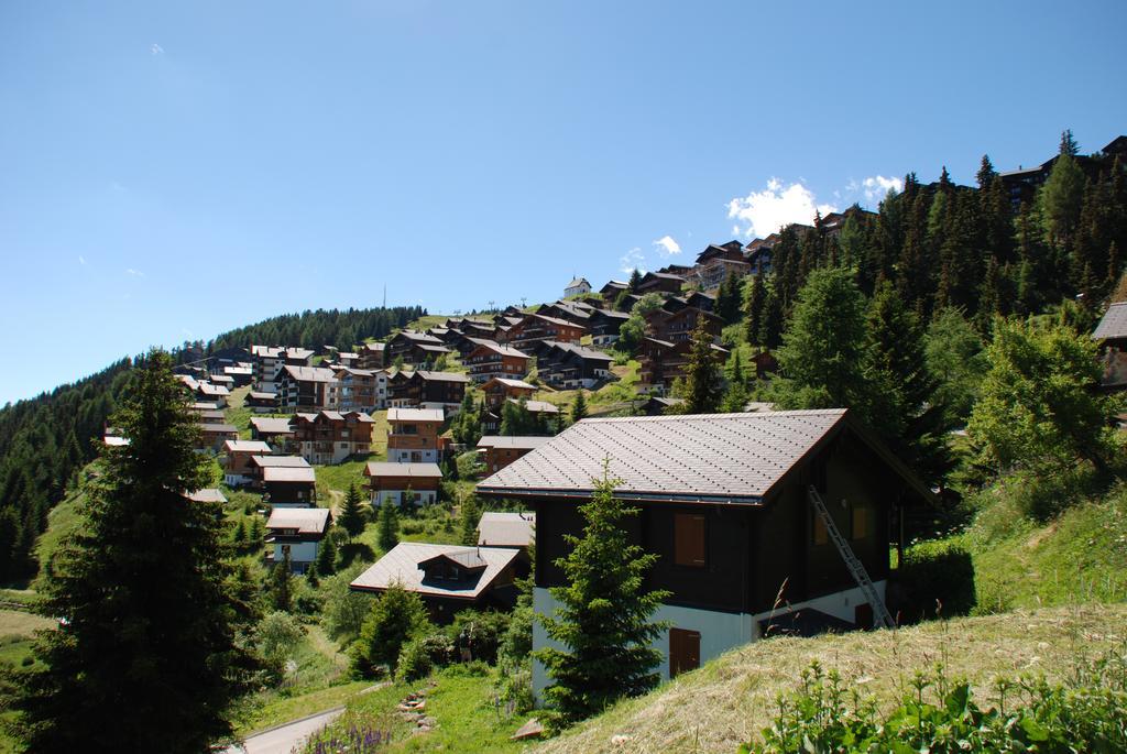 Chalet Foresta Bettmeralp Exterior photo