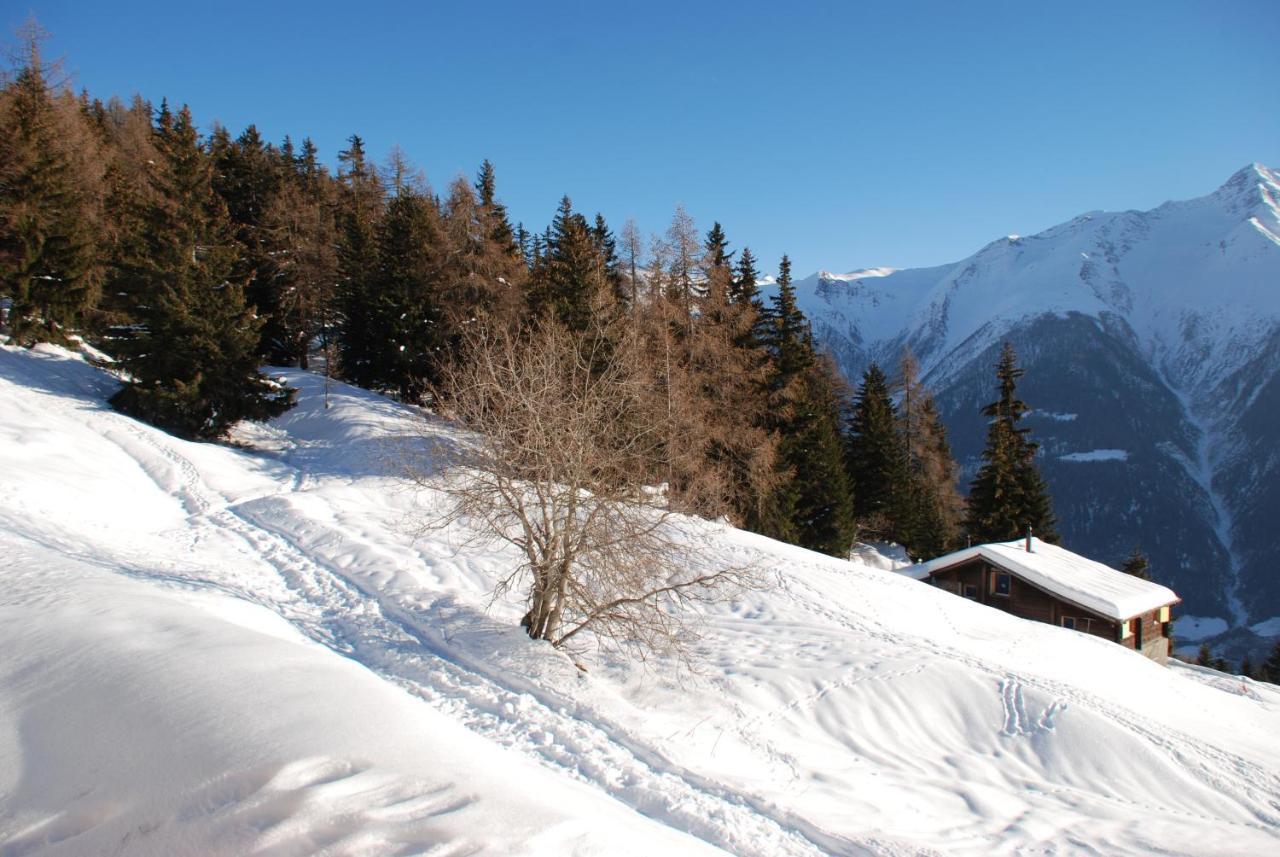 Chalet Foresta Bettmeralp Exterior photo